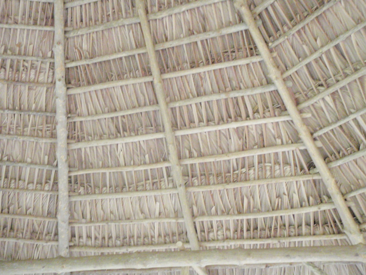 guano roof
